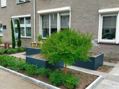 Afbeelding van WhatsApp op 2024-12-01 om 17.50.16_2cea346d